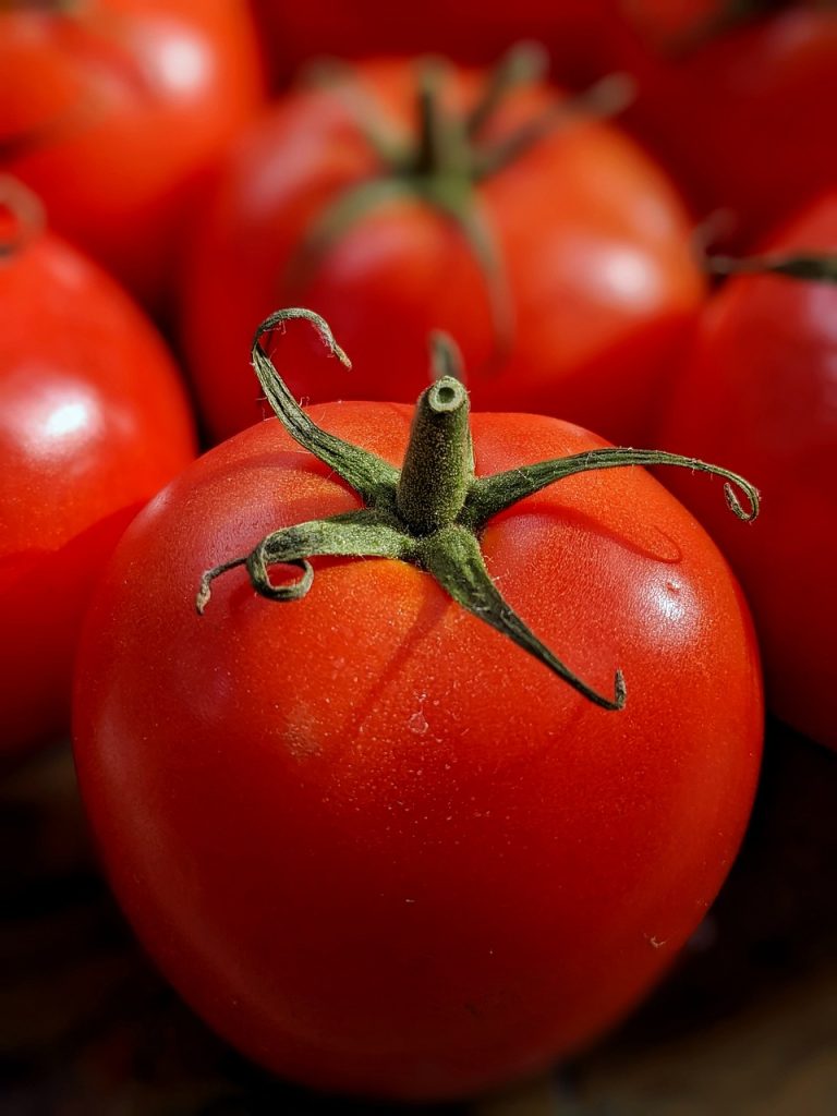 tomatoes, fresh, vegetables